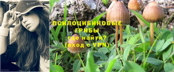 не бодяженный Няндома