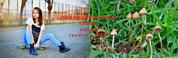 MDMA Новодвинск