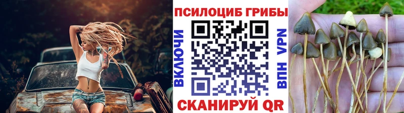 Псилоцибиновые грибы мухоморы  Котельниково 