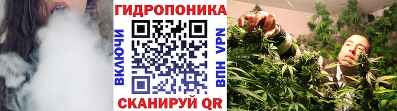 Бошки Шишки OG Kush  купить закладку  Котельниково 
